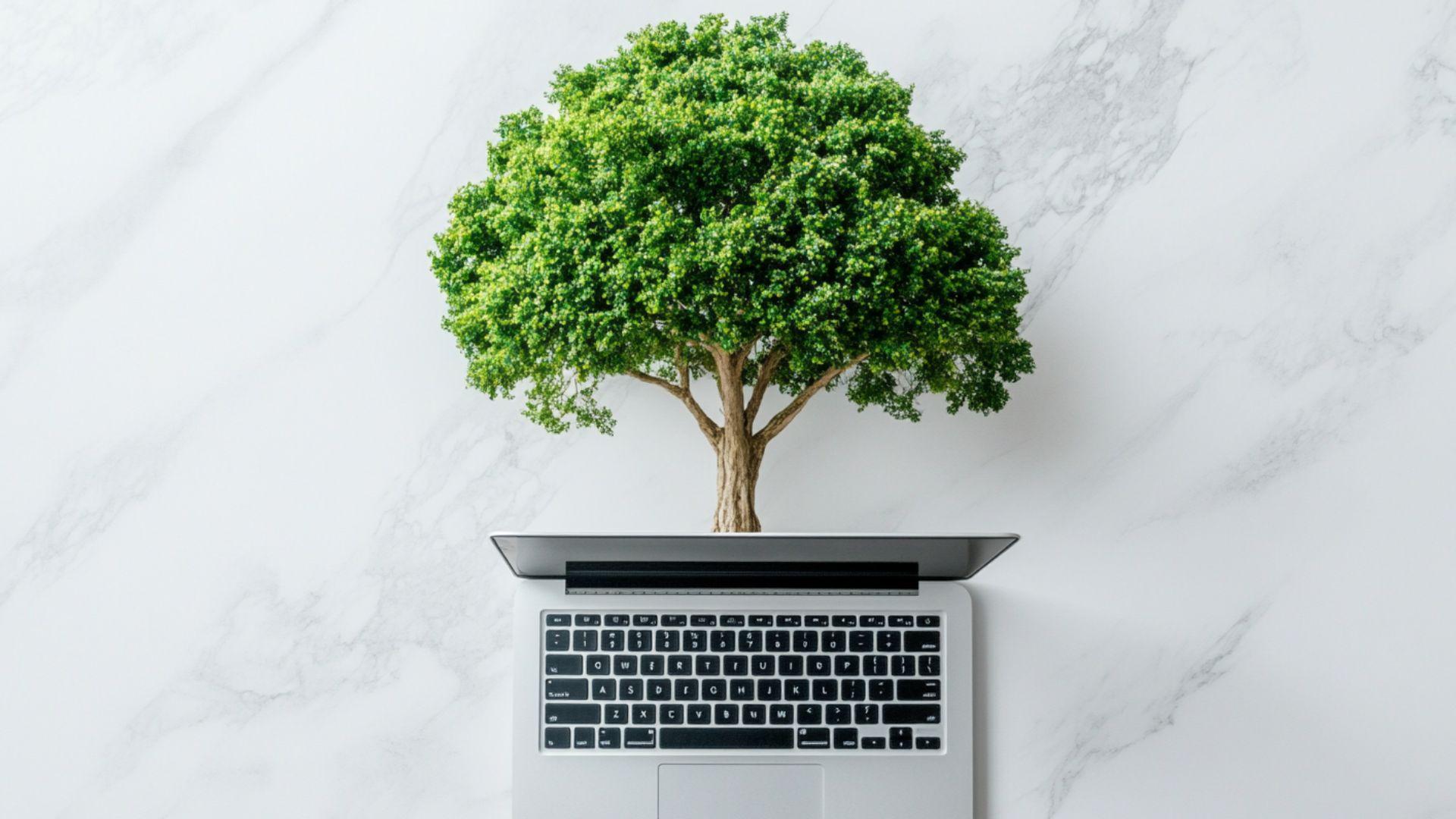 What is conscious marketing explained